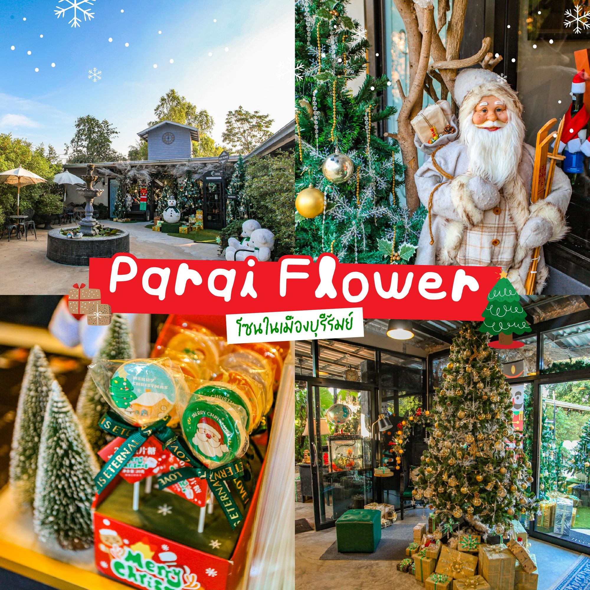 Parai Flower คาเฟ่คริสต์มาสในสวนดอกไม้