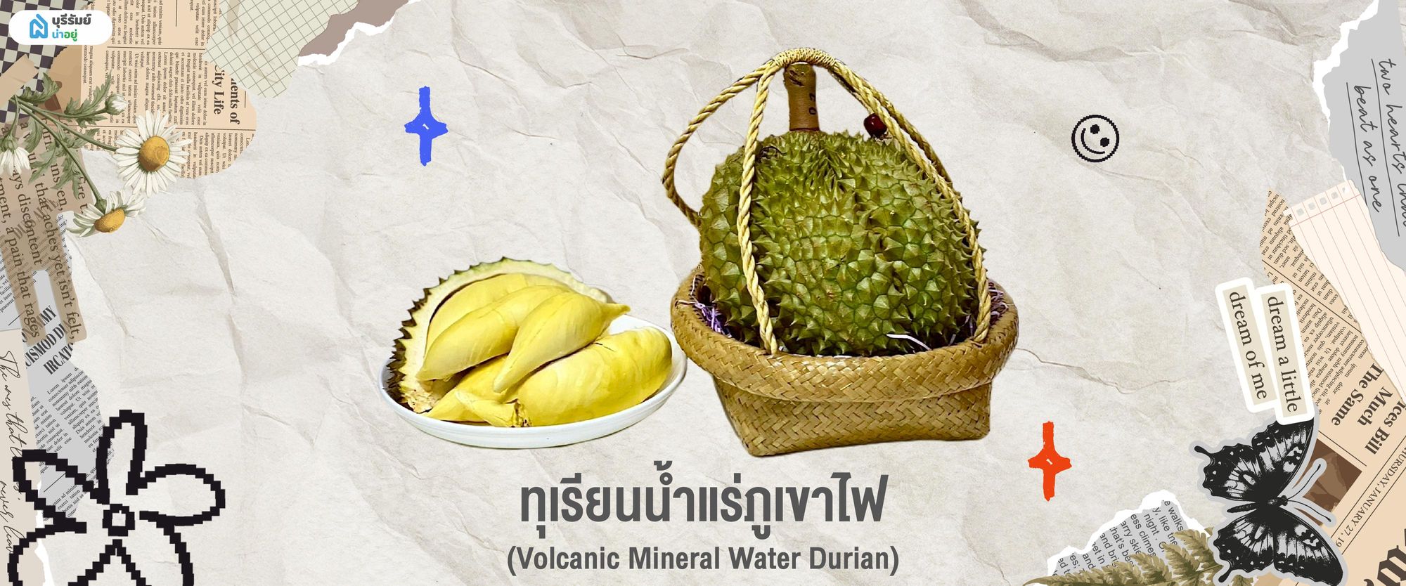 ของฝากบุรีรัมย์ ทุเรียนน้ำแร่ภูเขาไฟ