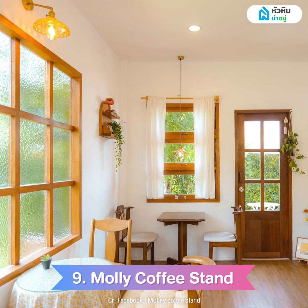 Molly Coffee Stand