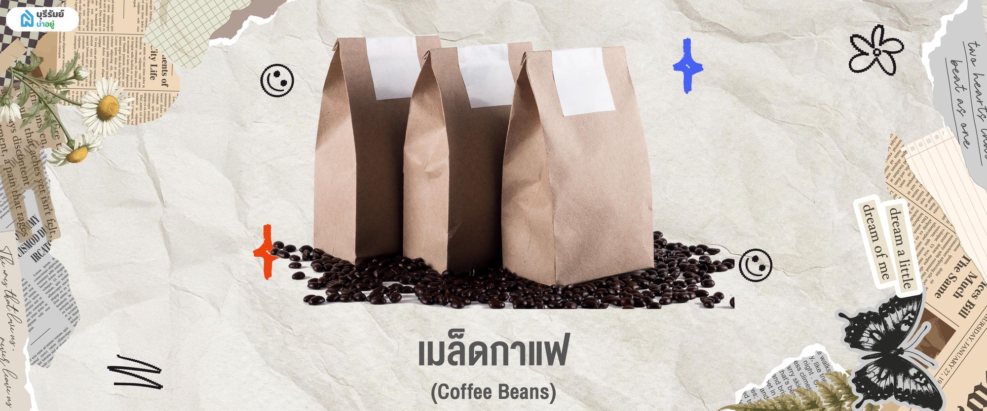 ของฝากบุรีรัมย์ เมล็ดกาแฟ