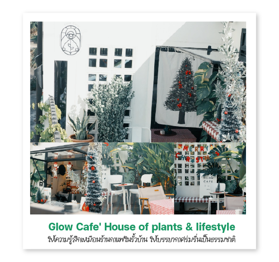 Glow Cafe' House of plants & lifestyle