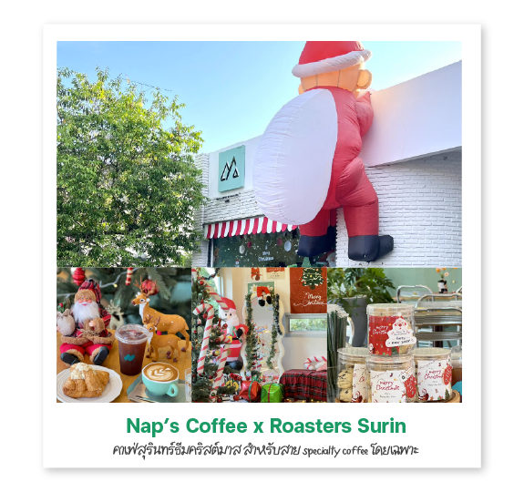 Nap’s Coffee x Roasters Surin