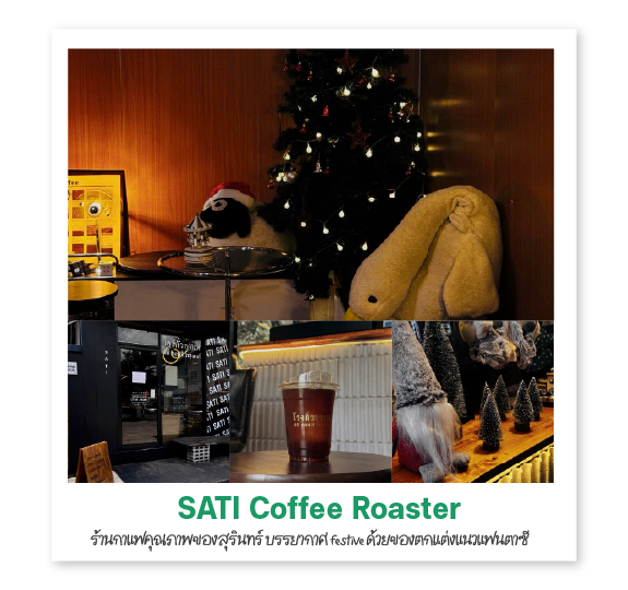 SATI Coffee Roaster