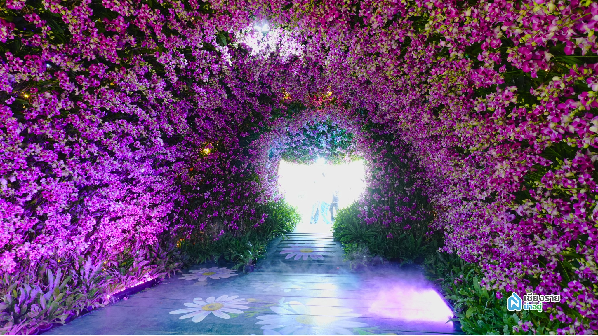 มีตัวเด่นอย่างทิวลิป ลิลลี่ และกล้วยไม้ รวมถึงการจัดแสดงประติมากรรมดอกไม้อีกหลายจุด