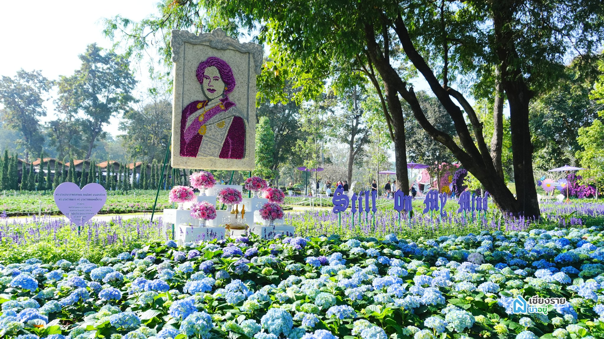 เรียงร้อยดวงใจ ดอกไม้ถวายแม่