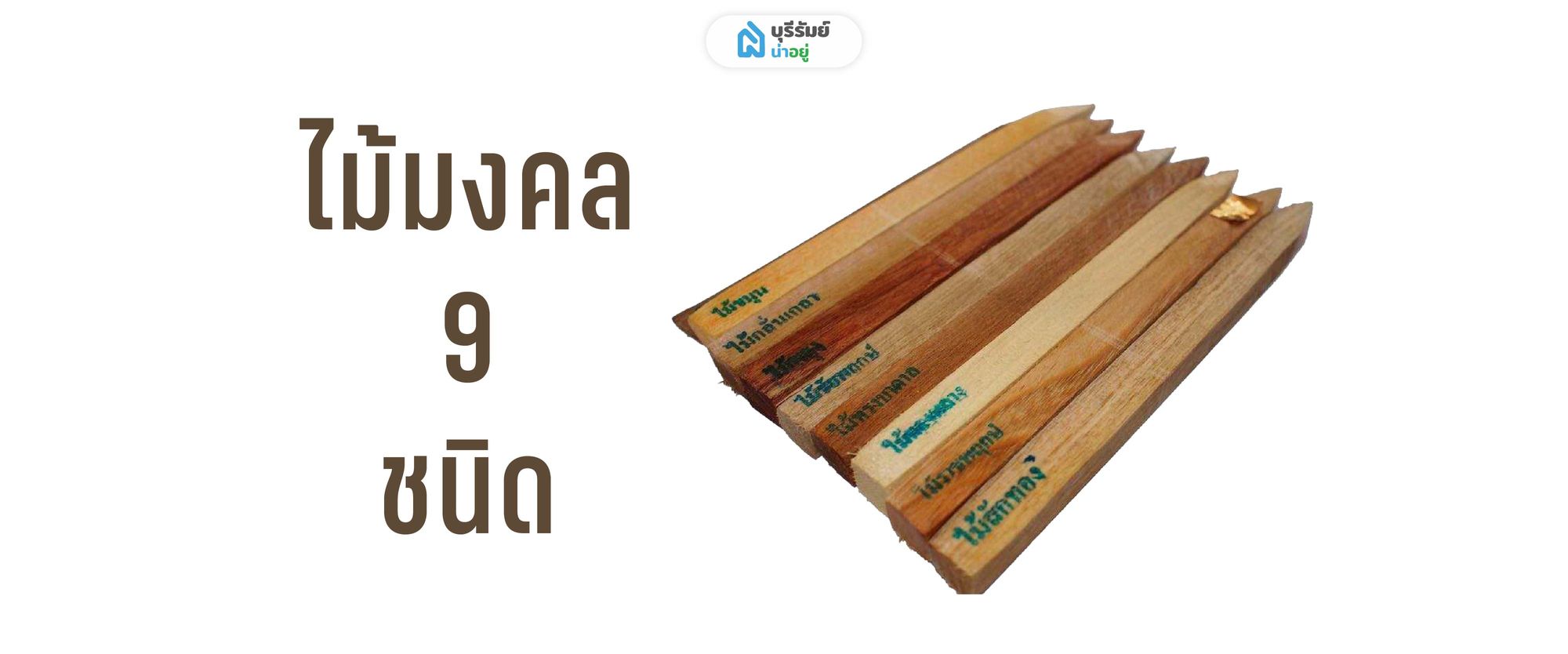 ไม้มงคล 9 ชนิด 