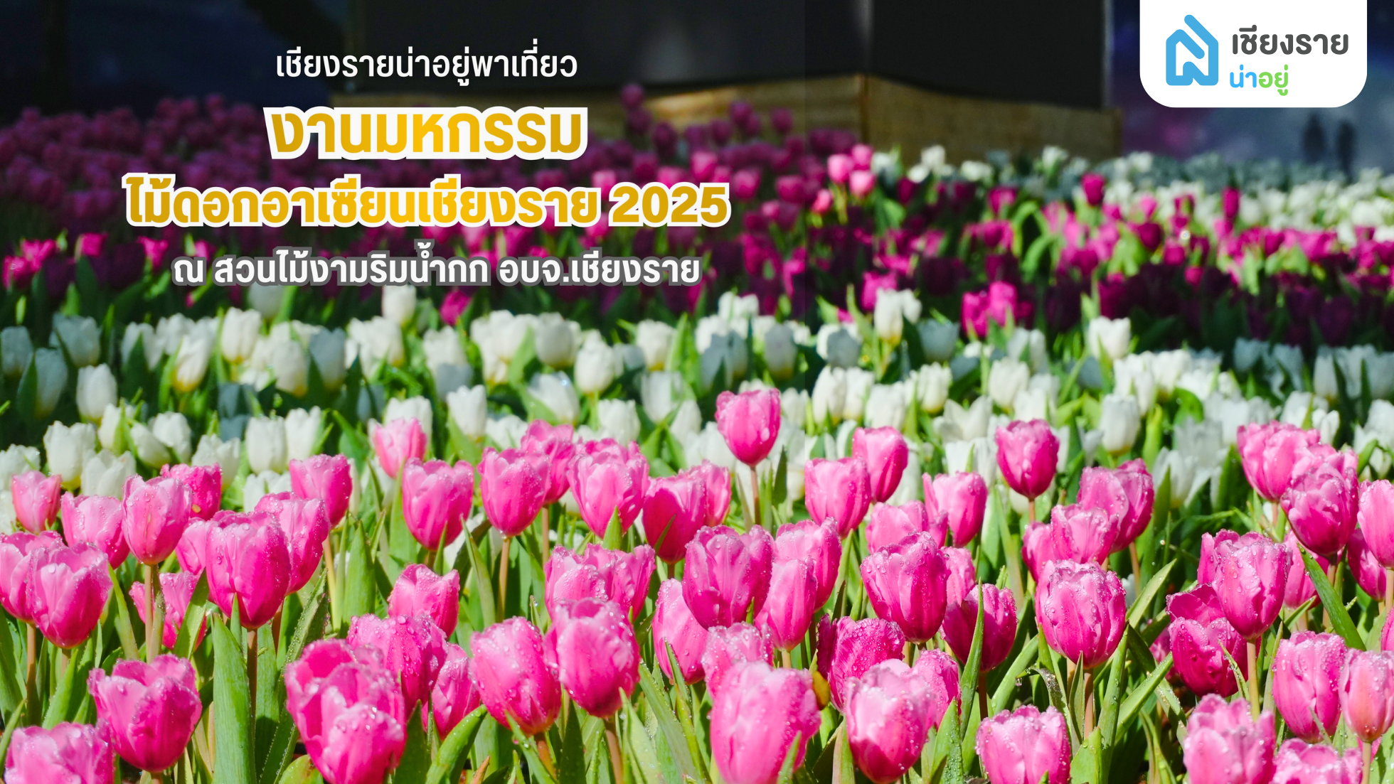 มหกรรมไม้ดอกอาเซียนเชียงราย 2025 – งานดอกไม้ปลายปีที่คนรักเชียงรายห้ามพลาด