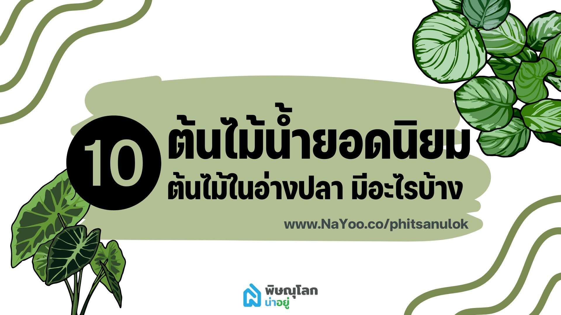 รวม 10 ต้นไม้น้ำยอดนิยม ต้นไม้ในอ่างปลา มีอะไรบ้าง