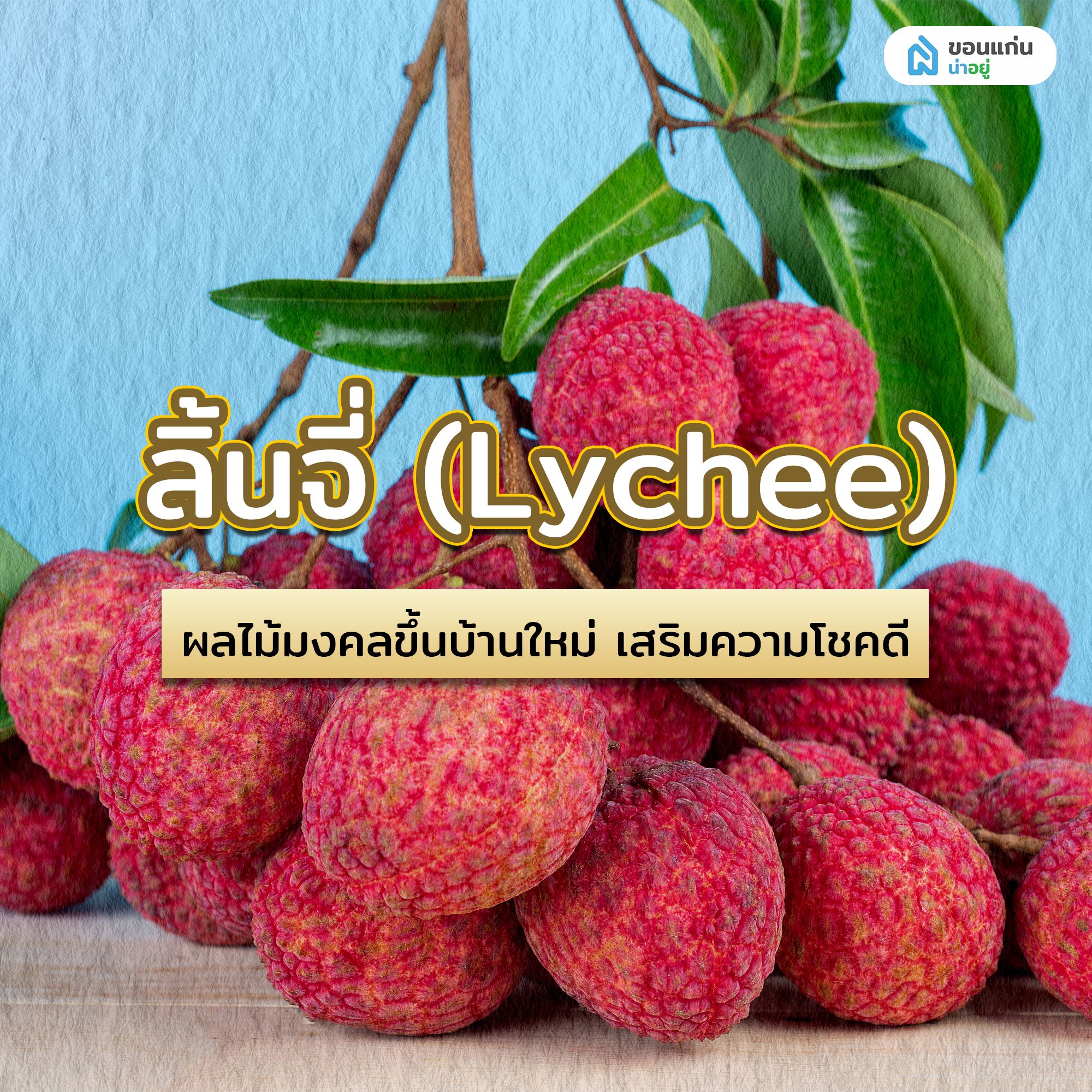 ลิ้นจี่ (Lychee) ผลไม้มงคลขึ้นบ้านใหม่ เสริมความโชคดี