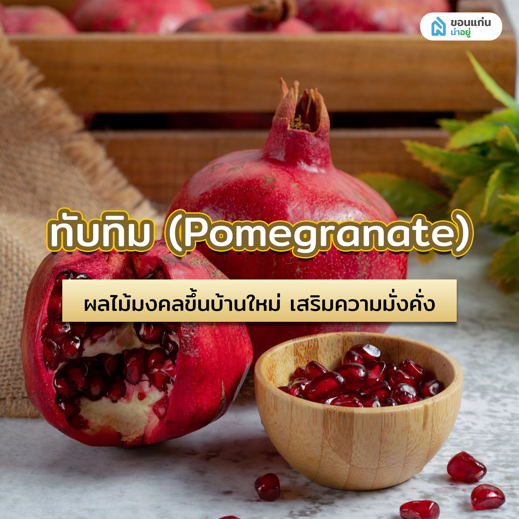 ทับทิม (Pomegranate) ผลไม้มงคลขึ้นบ้านใหม่ เสริมความมั่งคั่ง