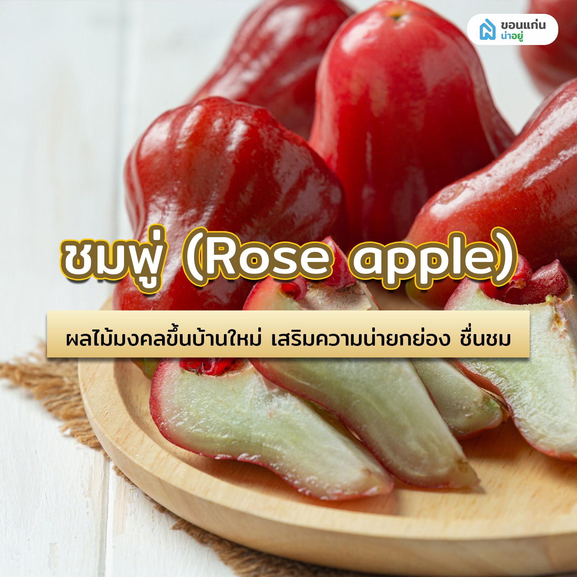 ชมพู่ (Rose apple) ผลไม้มงคลขึ้นบ้านใหม่ เสริมความน่ายกย่อง ชื่นชม