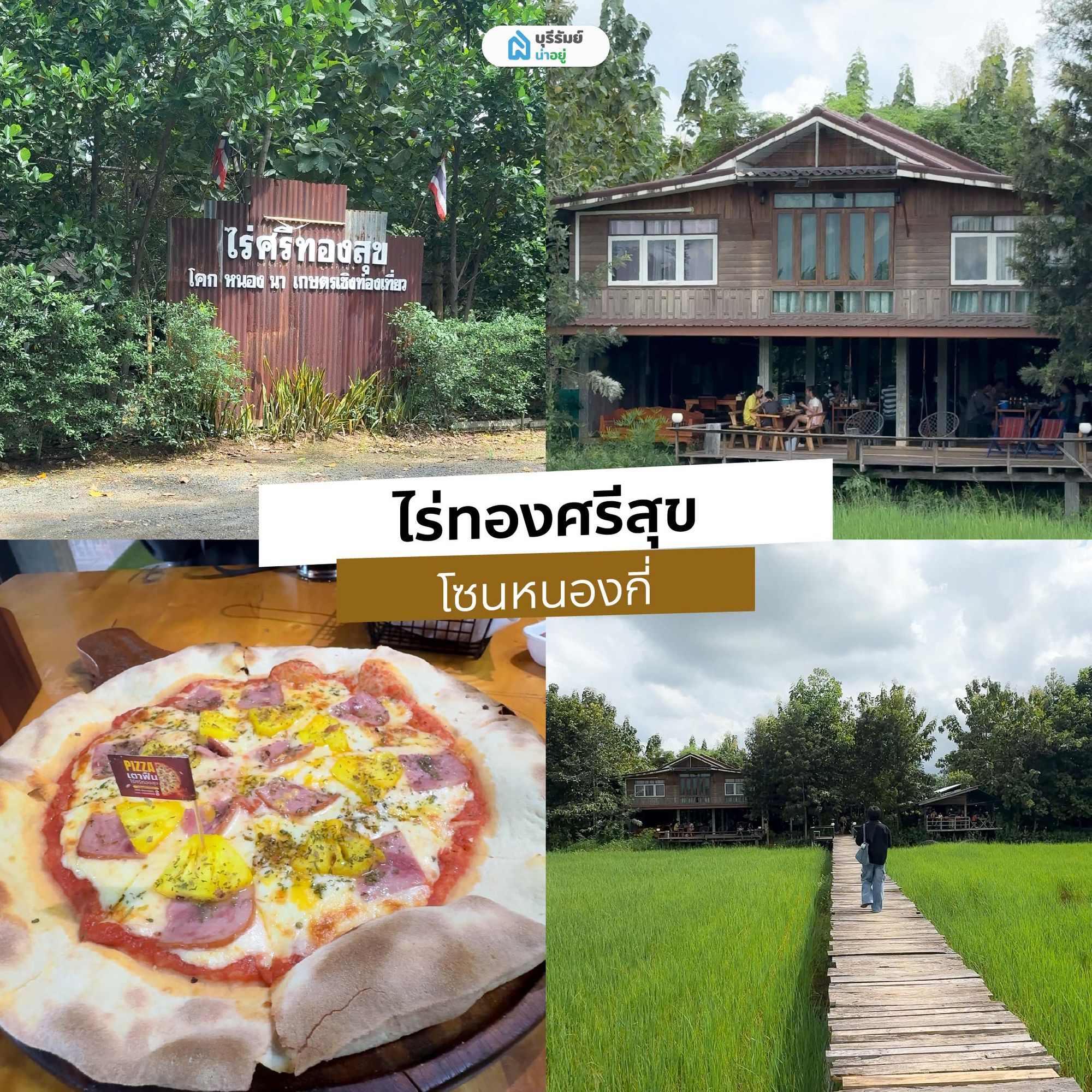 ไร่ศรีทองสุข คาเฟ่บุรีรัมย์กลางทุ่ง หนองกี่