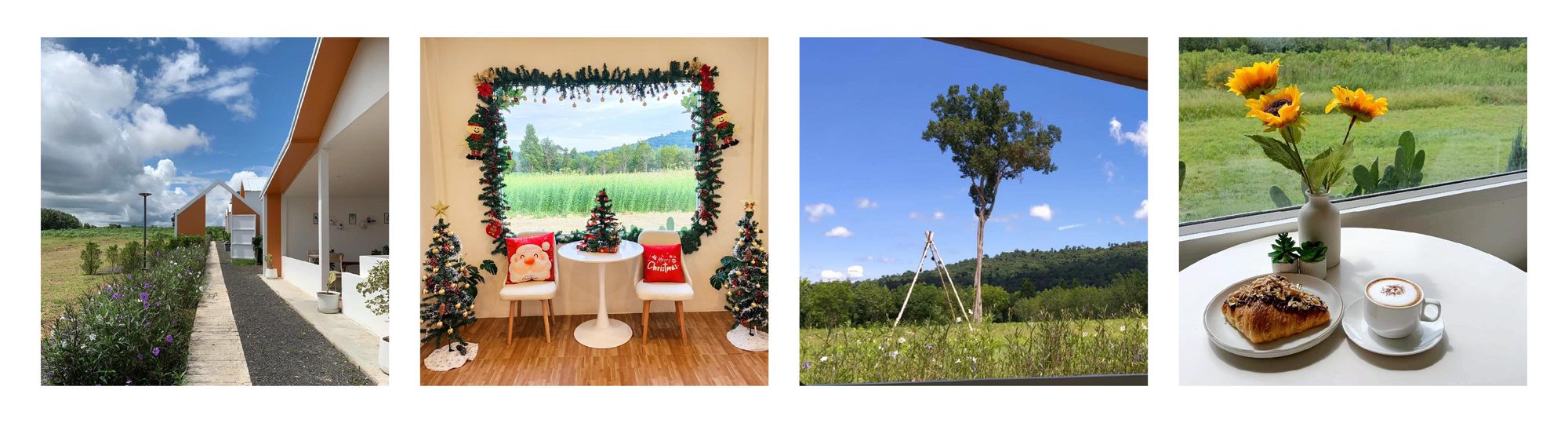 DOO KHAO คาเฟ่ รีสอร์ท โซนโนนดินแดง