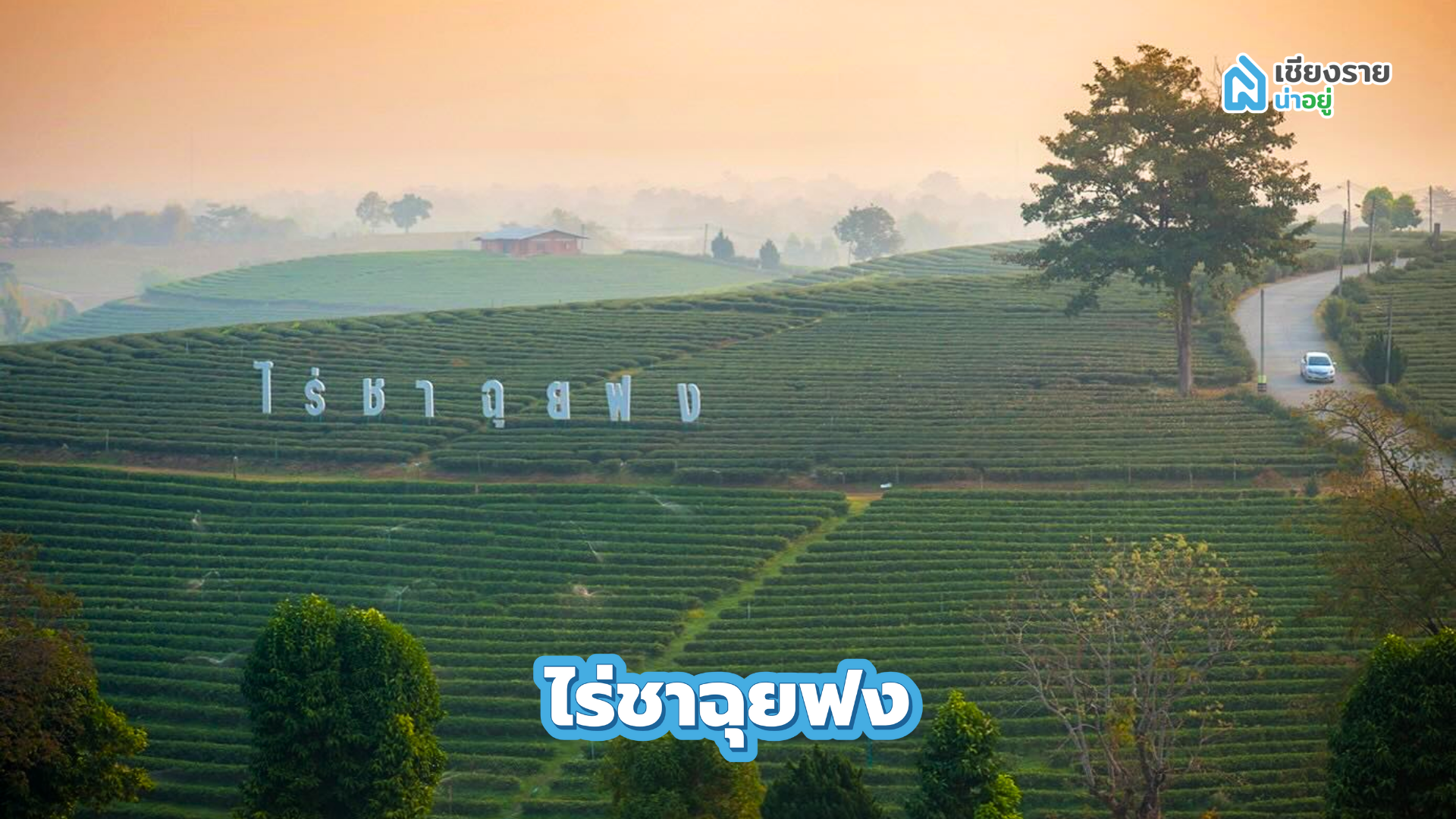 ไร่ชาฉุยฟง