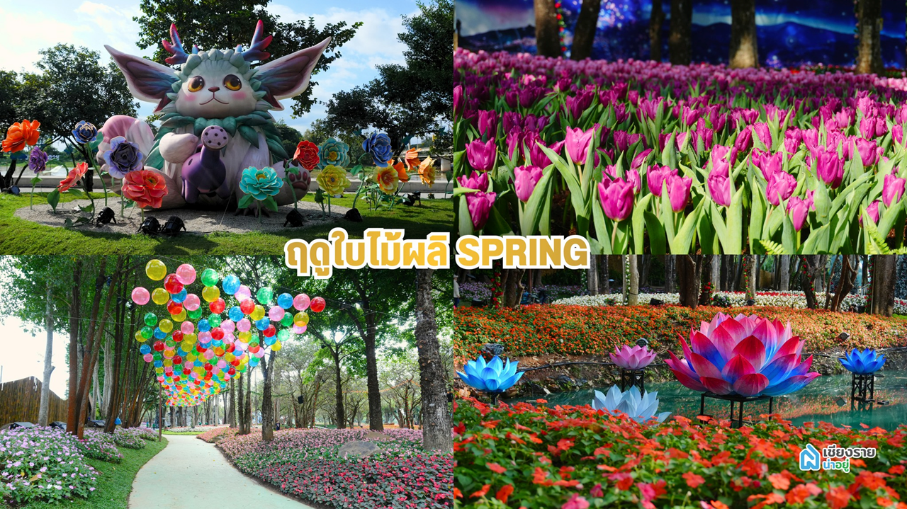 งานมหกรรม ไม้ดอกอาเซียน เชียงราย 2568