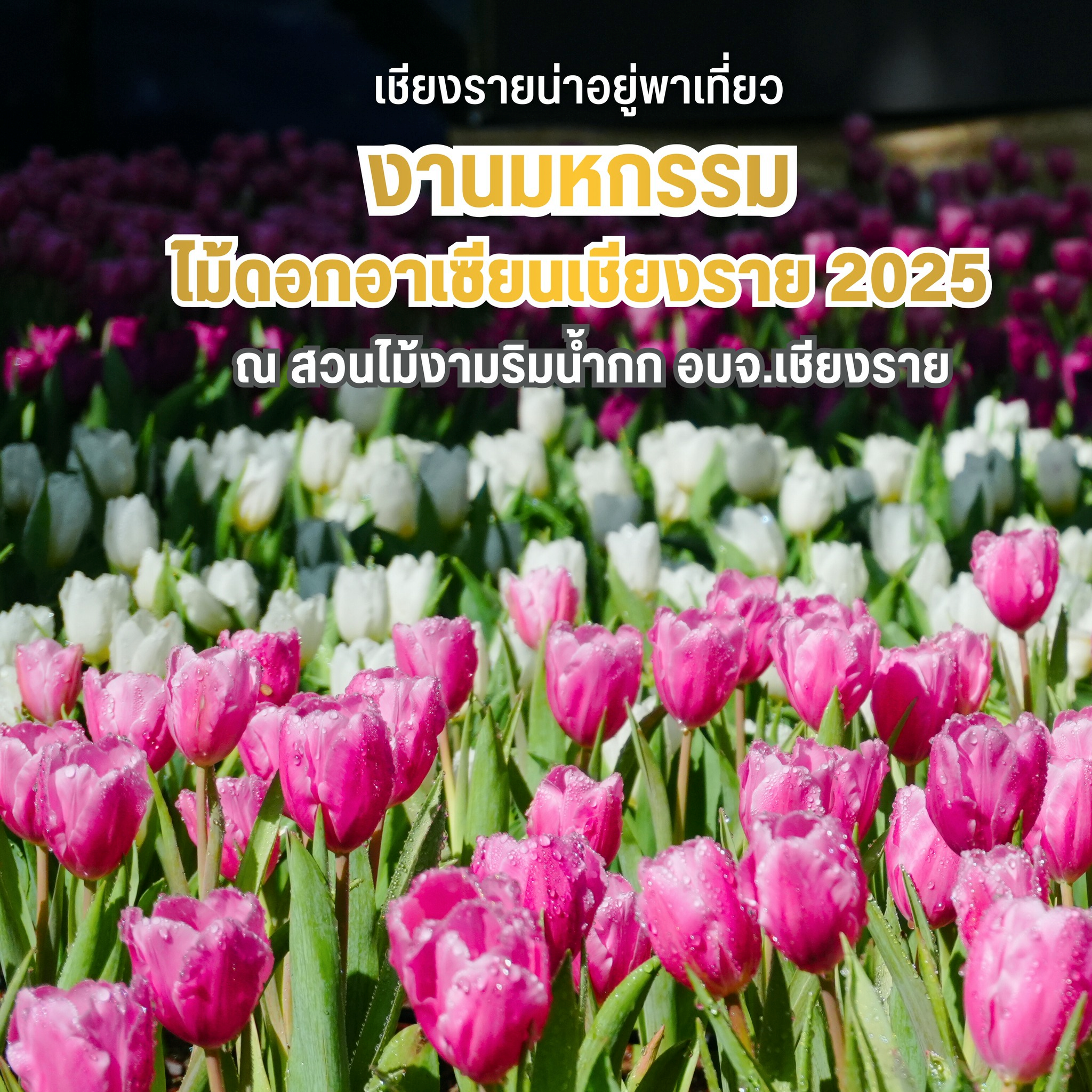 งานมหกรรม ไม้ดอกอาเซียน เชียงราย 2568