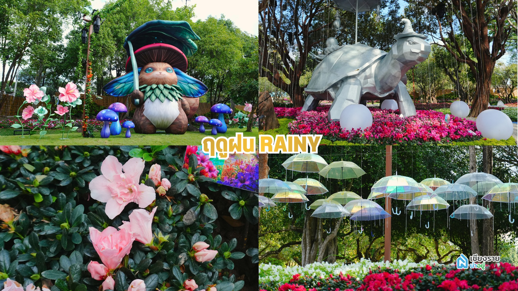 งานมหกรรม ไม้ดอกอาเซียน เชียงราย 2568