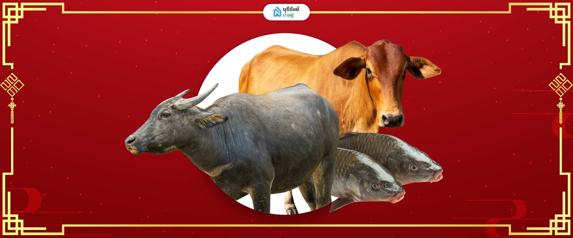 ทำบุญไถ่ชีวิตโค-กระบือ และปล่อยปลา