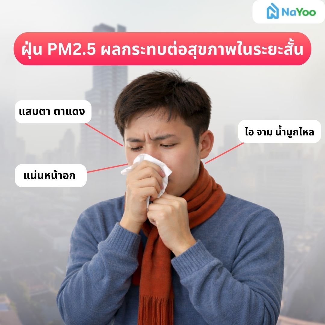 ฝุ่น PM2.5 ผลกระทบต่อสุขภาพในระยะสั้น