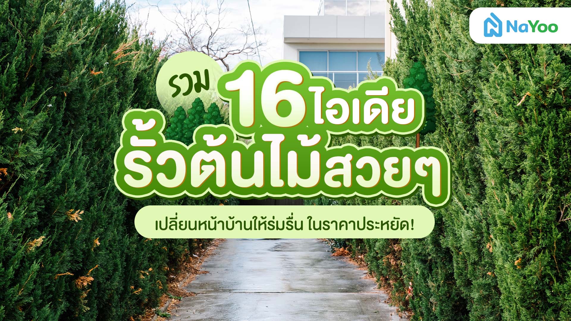 รวมไอเดียรั้วต้นไม้สวยๆ เปลี่ยนหน้าบ้านให้ร่มรื่น พร้อมวิธีเลือกแบบประหยัดงบ