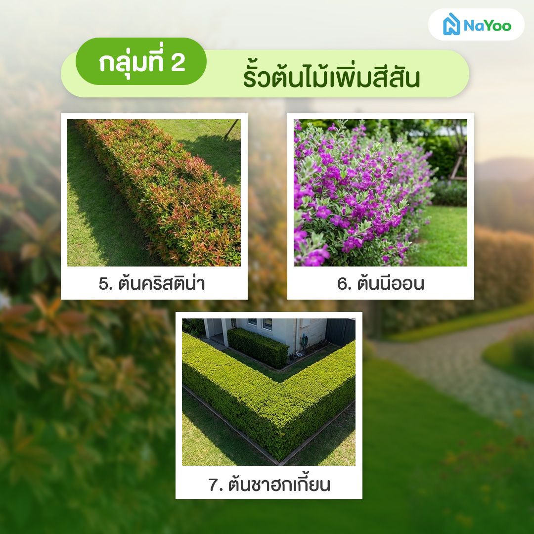 รั้วต้นไม้สวยงาม