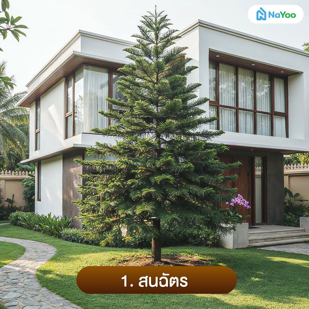 ไม้ยืนต้น