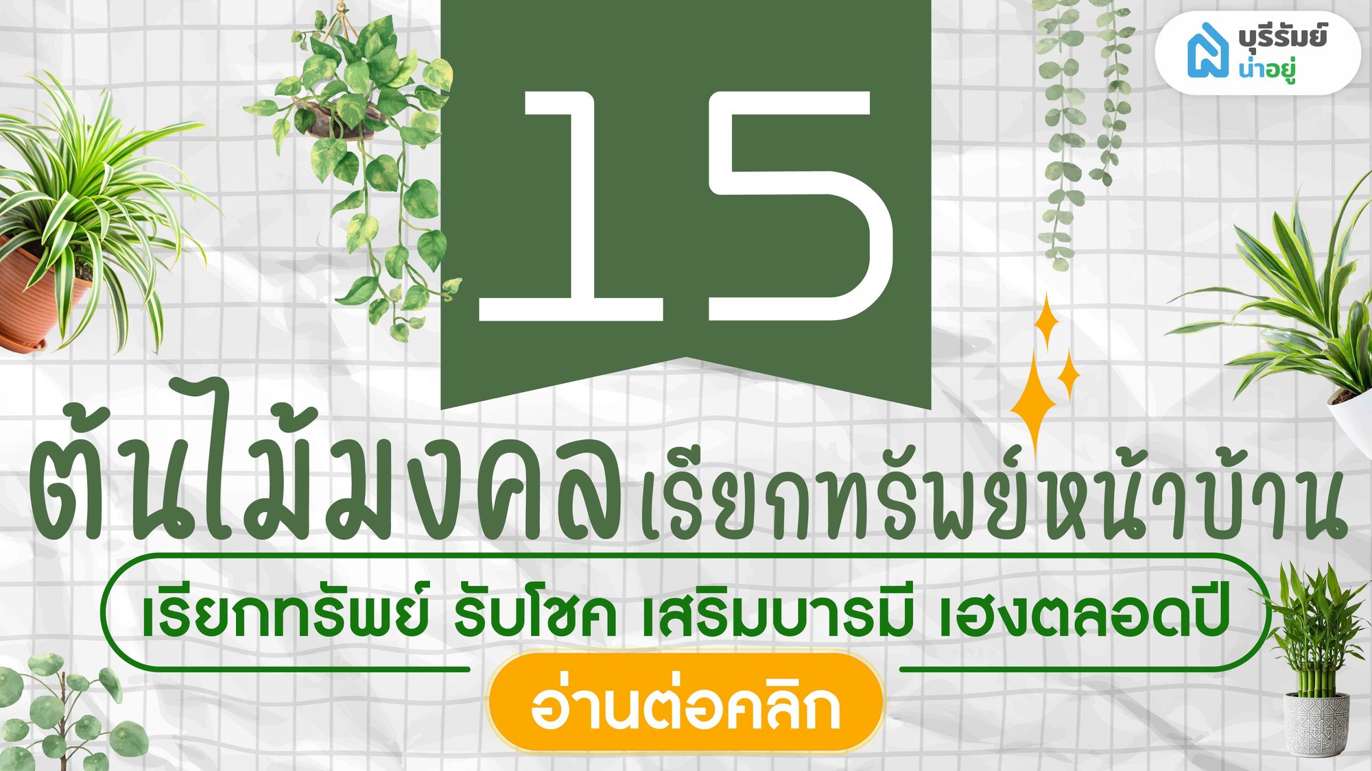 15 ต้นไม้มงคลเรียกทรัพย์หน้าบ้าน เรียกทรัพย์ รับโชค เสริมบารมี เฮงตลอดปี!