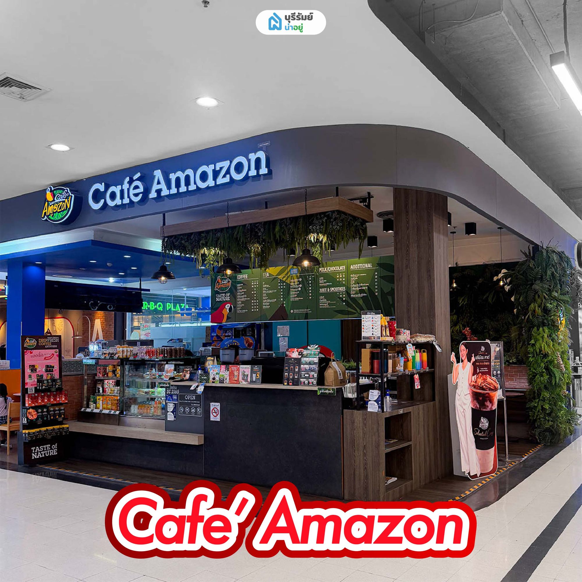 Amazon (คาเฟ่ อเมซอน)