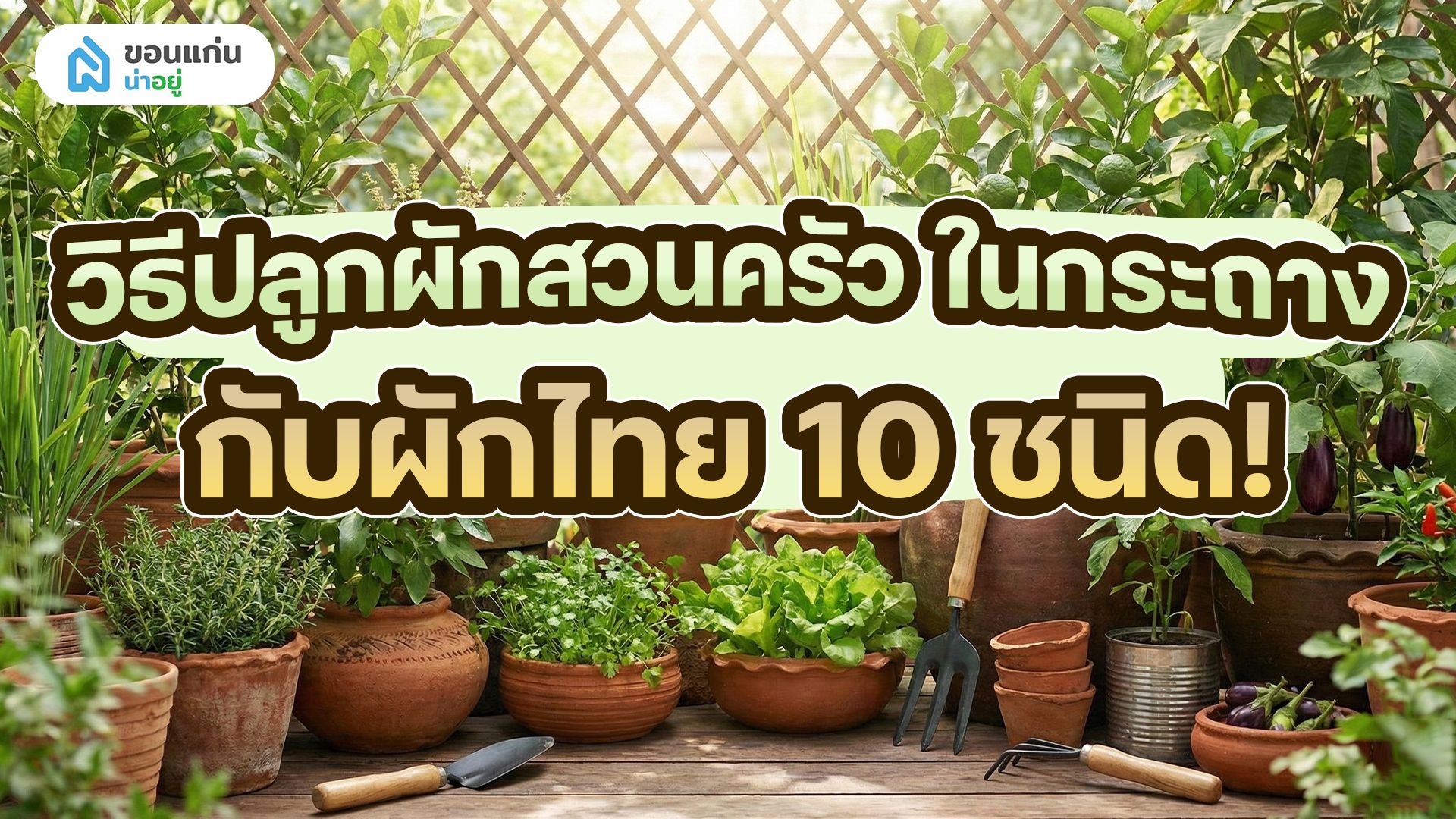 10 ผักสวนครัวปลูกในกระถาง พร้อมเทคนิคการปลูก