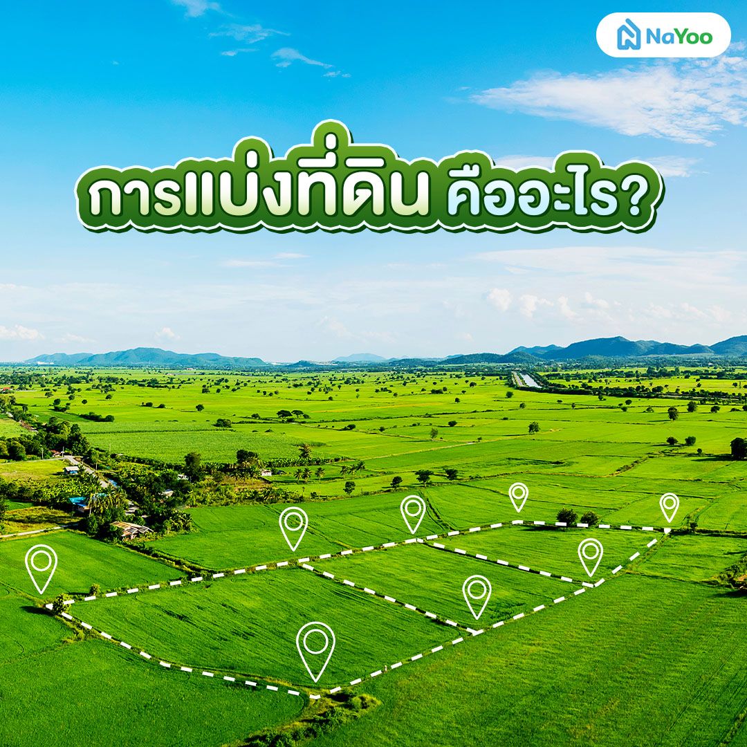 การแบ่งที่ดิน คืออะไร