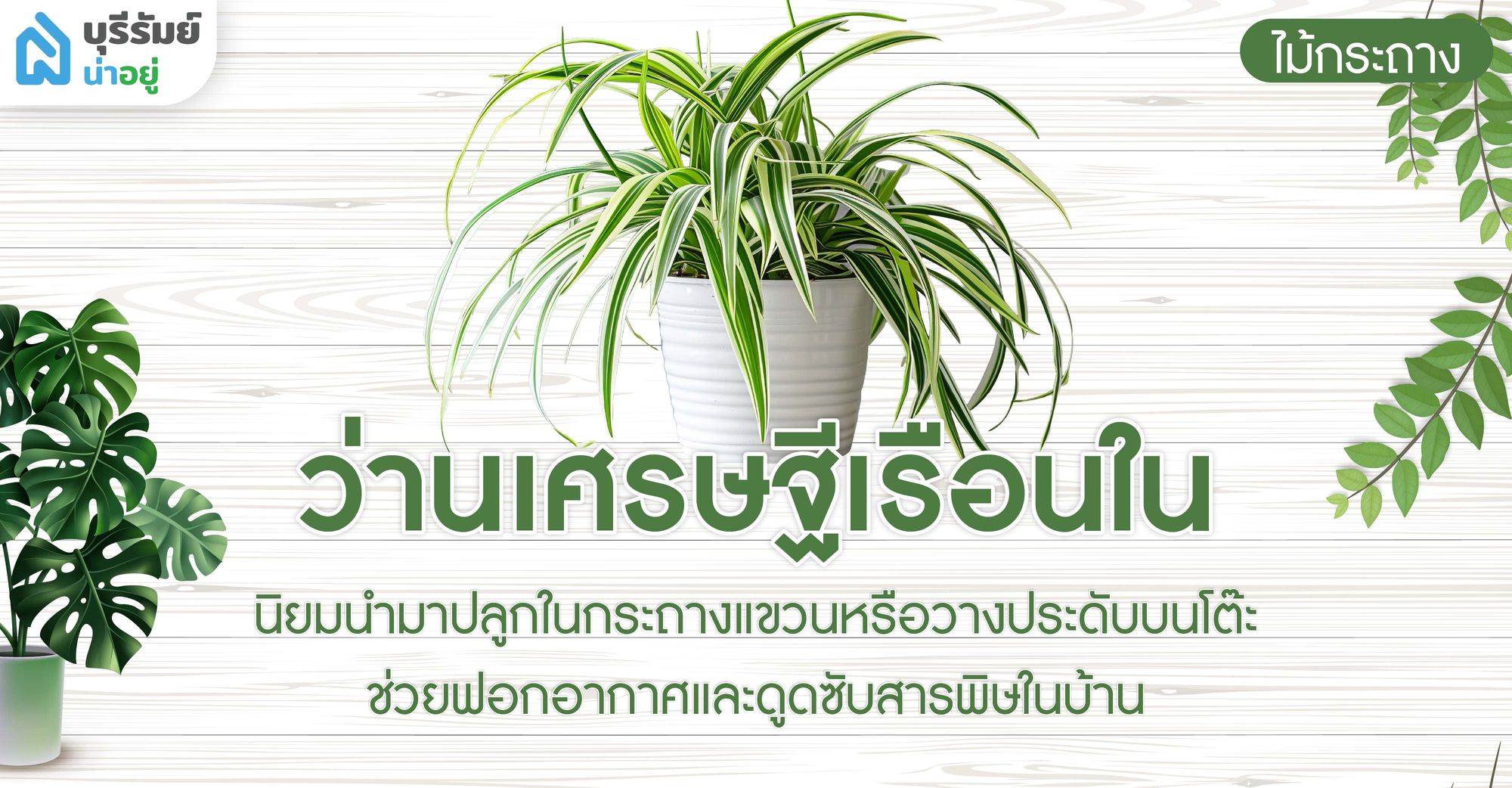 ว่านเศรษฐีเรือนใน