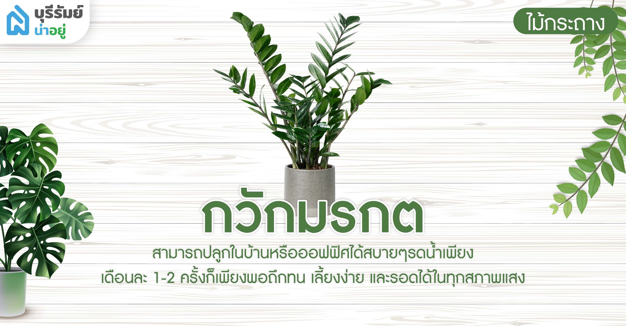 กวักมรกต