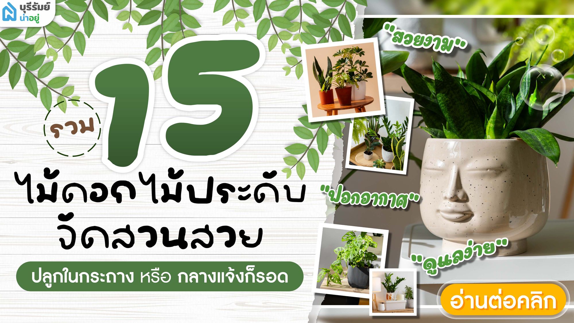 รวม 15 ไม้ดอกไม้ประดับ จัดสวนสวย ปลูกในกระถางหรือกลางแจ้งก็รอด