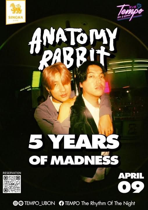 คอนเสิร์ต Anatomy Rabbit tempo
